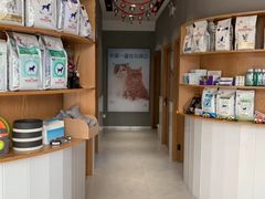 -关爱宠物医院·猫科中心·消化科(滨湖万达分院)