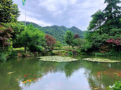 -中国茶叶博物馆(双峰馆区)
