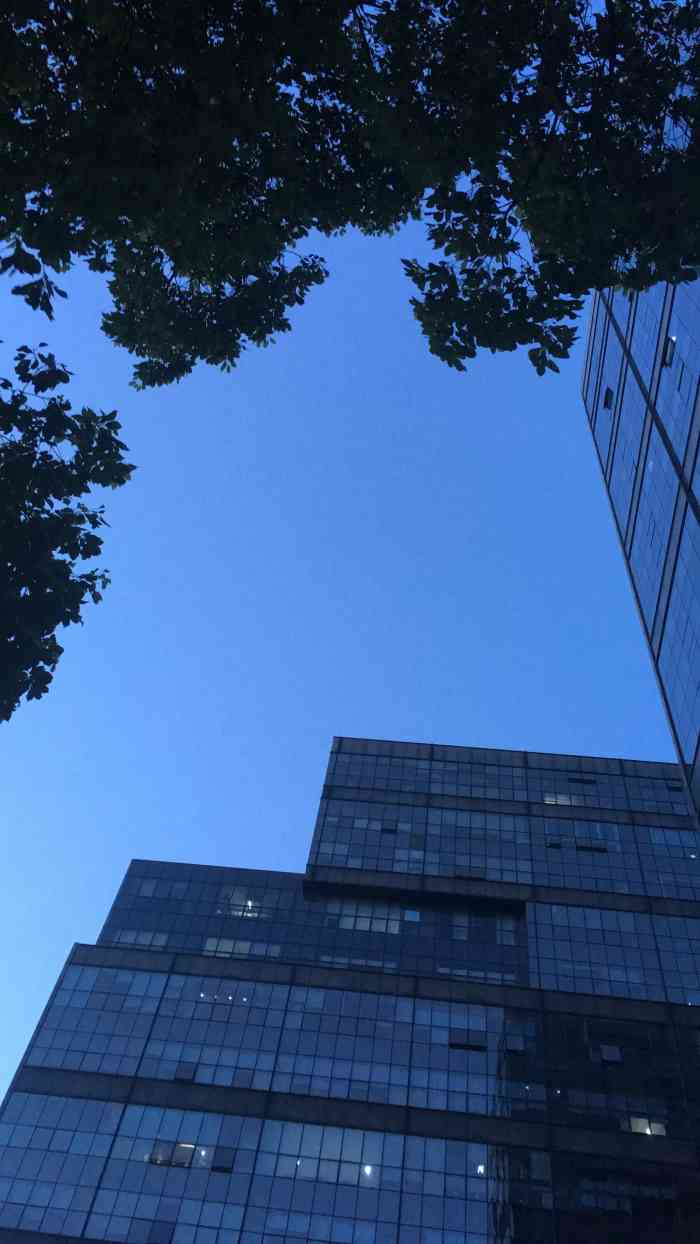 海上海弘基休闲广场-"不良商家应该取缔,老城隍庙小吃太让人失望.