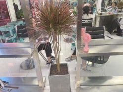 -P.STYLE 派斯造型