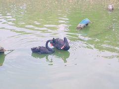 -无锡动物园·太湖欢乐园