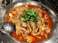 -古乐牛香·鲜牛肉牛杂火锅(解放东路店)