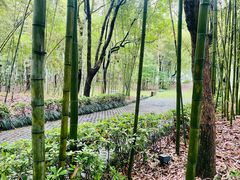 -兰亭风景区