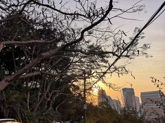 -鸿山公园