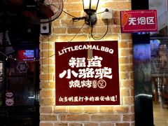 -福苗小骆驼烧烤(莲湖路店)