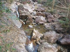 -花岩国家森林公园