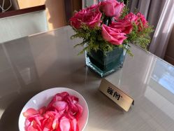 -巍阁高端月子会所