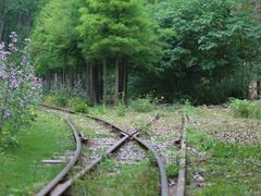 -合肥滨湖国家森林公园