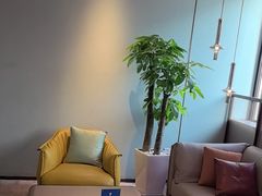 -眉州东坡(望京店)
