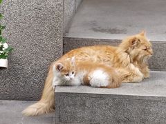 -陕西师范大学(雁塔校区)