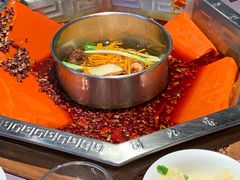 -蜀九香火锅(九眼桥店)