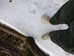 -罗田天堂寨风景区