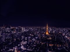 -六本木新城展望台(东京城市景观)