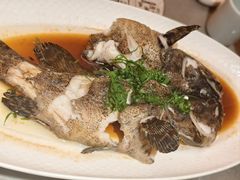 -新天明砂锅鱼头煲