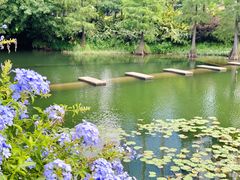 -荔枝公园(福田区)