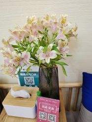 -芳朵美容养生SPA