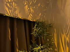-宁采臣Sleep·采耳·SPA放松馆(湖里万达店)