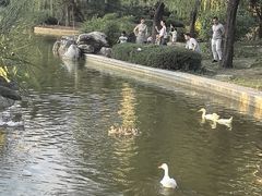 -木塔寺遗址生态公园