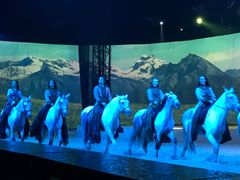 -cavalia·舞马