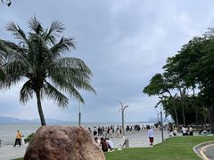 -深圳湾公园(南山区)