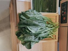 -蝎王府羊蝎子(西直门店)
