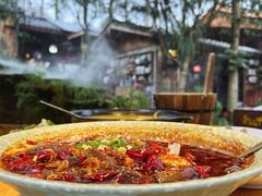 -青城甲(青城山店)