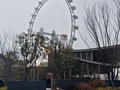 -金鸡湖景区