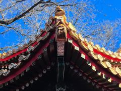 -贤良祠