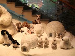 -济州岛泰迪熊博物馆