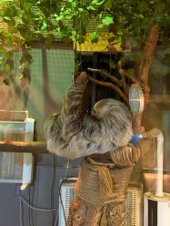 -未来动物城主题公园(正弘城店)