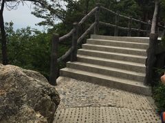 -王顺山国家森林公园