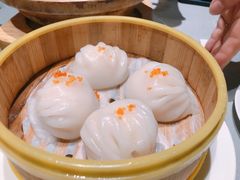 -采蝶轩