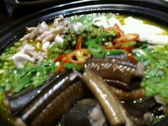 -福照楼汽锅鸡·云南菜(护国路店)