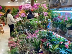 -双季花艺园艺市场(浦东店)
