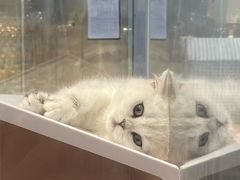 -狗道宠物(常熟印象城店)