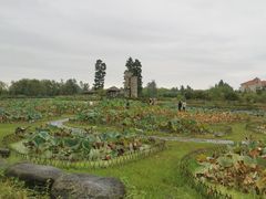 -池杉湖湿地公园