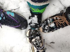 -武陵山森林公园