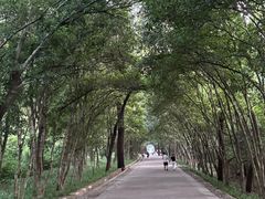 -灵谷景区