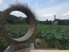 -红山村