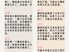 -暖阳宠物医院·犬猫康复中心·骨科