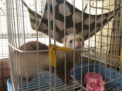 -自贡好吃客(科华店)