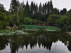 -郑和公园