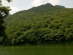 -龙道沟景区
