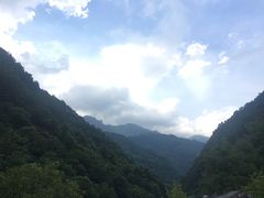 -牛背梁国家森林公园