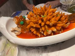 -米桃-吴韵风雅·拙园(北外滩来福士店)