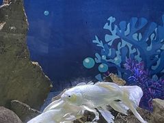 -绿色星球动物主题公园