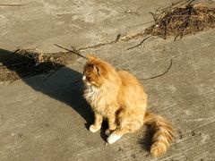 -永定河休闲森林公园