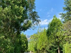 -禅宗少林·音乐大典