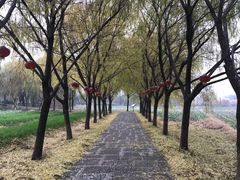 -长兴太湖图影湿地文化园