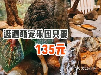逛遍萌宠乐园只要135元